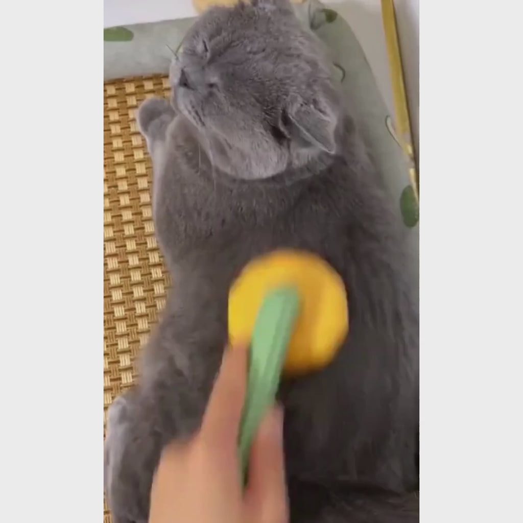 Self Cleaning Slicker Brush for Shedding Dog