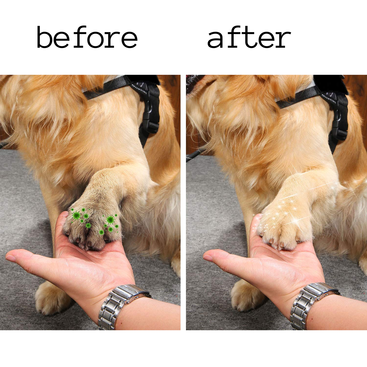 best dog paw cleaner