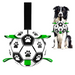 Soccer ball dog