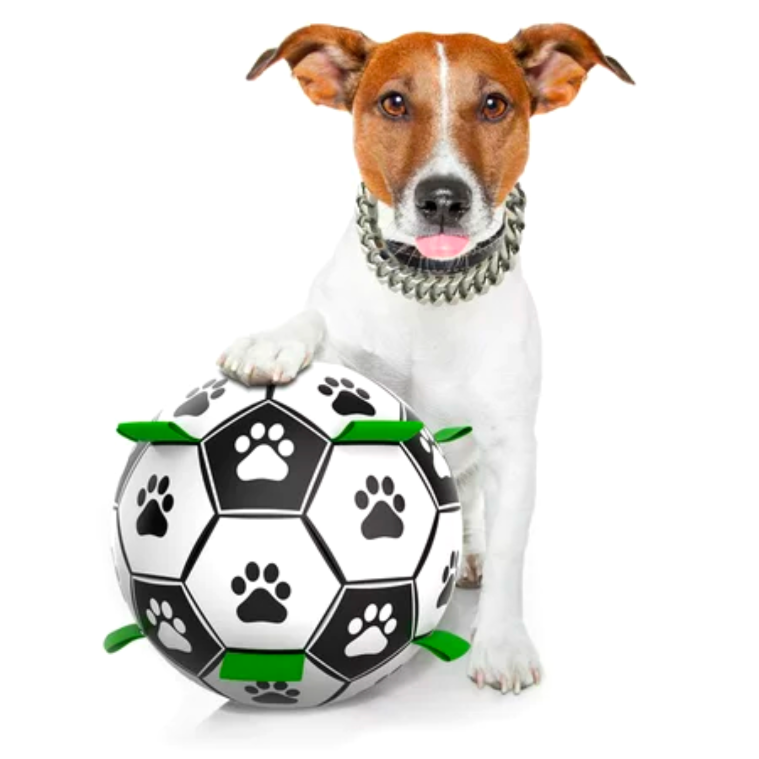 large dog soccer ball