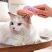 Pumpkin Cat Brush with Hair Release for Shedding and Grooming