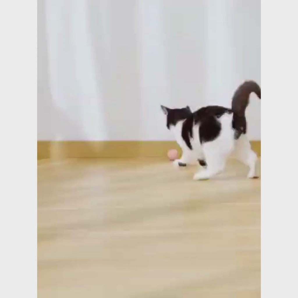 motion sensor cat toy